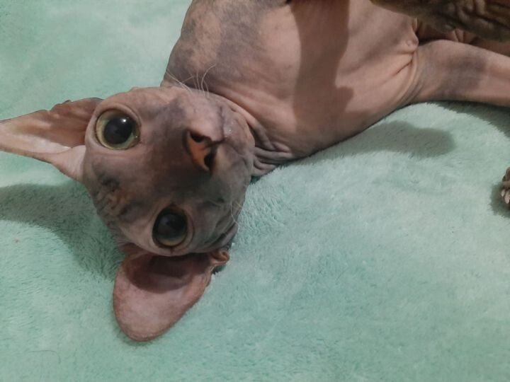    Фото:из семейного архива Поповых