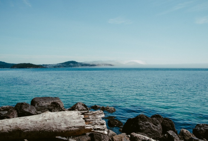 фото: pxhere.com/