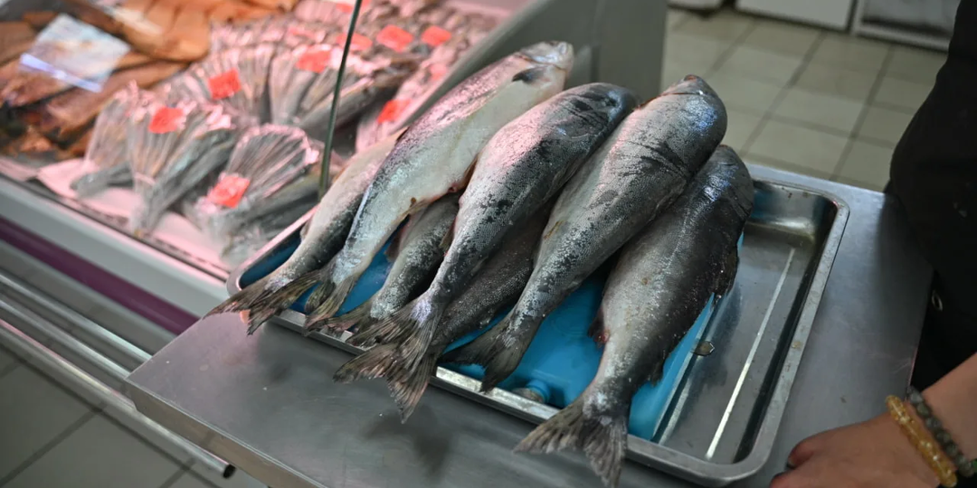 Оказывается у нас и рыба на прилавках поддельная