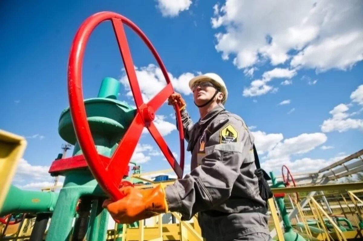    Проект по созданию нефтехимического завода под Находкой могут возобновить