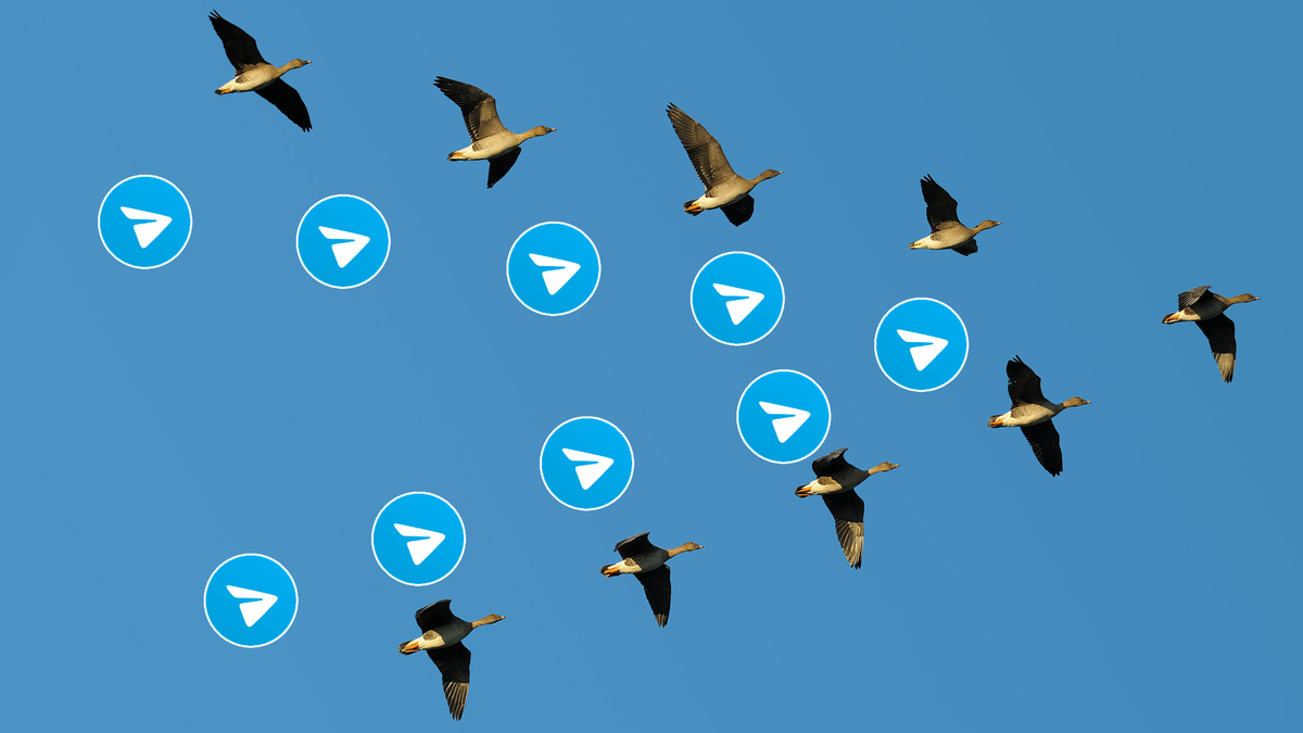 Обложка статьи