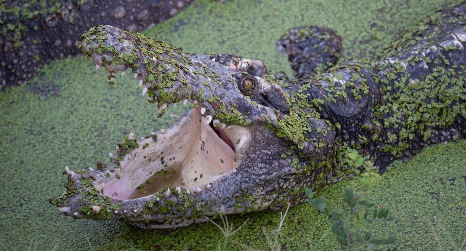    Teera Noisakran/Keystone Press Agency / www.globallookpress.com