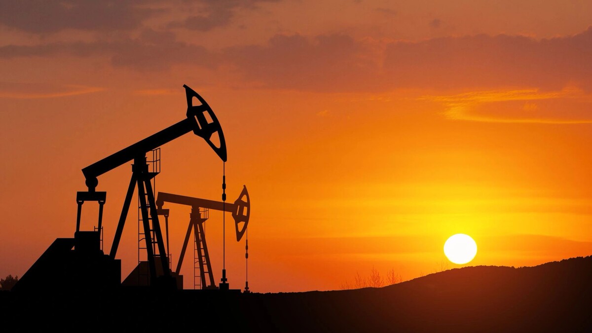    Фото: Hamara/Shutterstock/Fotodom