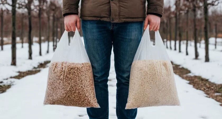    Картинка создана нейросетью Алиса AI