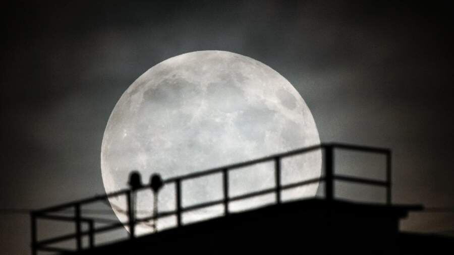    Фото: ИЗВЕСТИЯ/Сергей Лантюхов