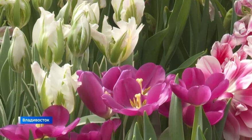    Источник фото: