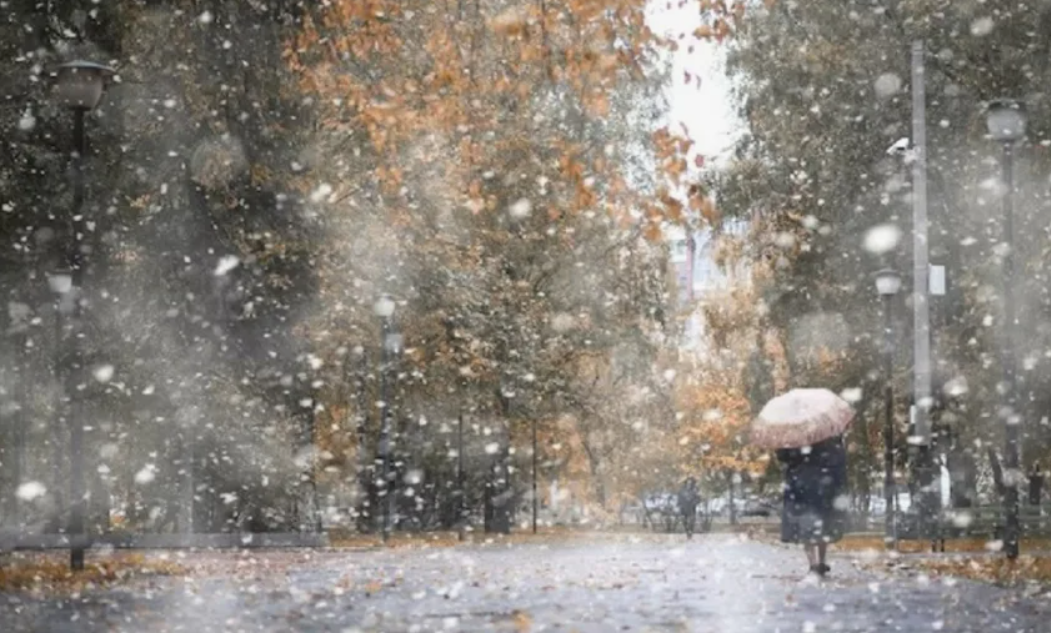 Фото из открытых источников 