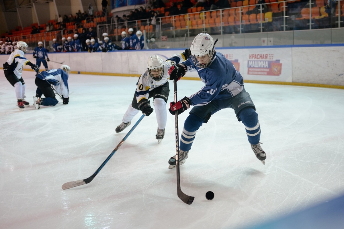 Виктор Сухов / viktorsuhov.wfolio.pro