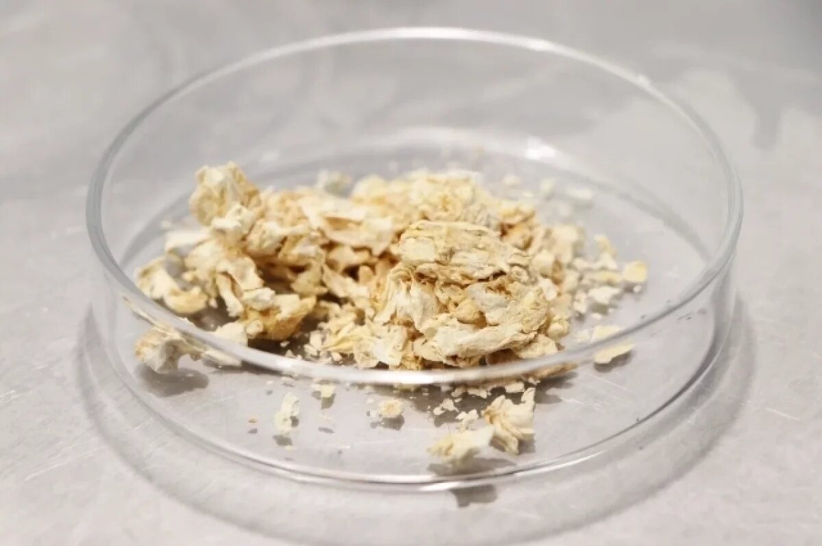    Учёные предложили делать снеки из грибного белка.