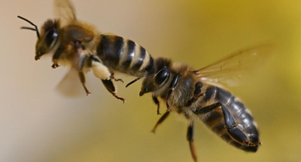    Arne Dedert/dpa / www.globallookpress.com