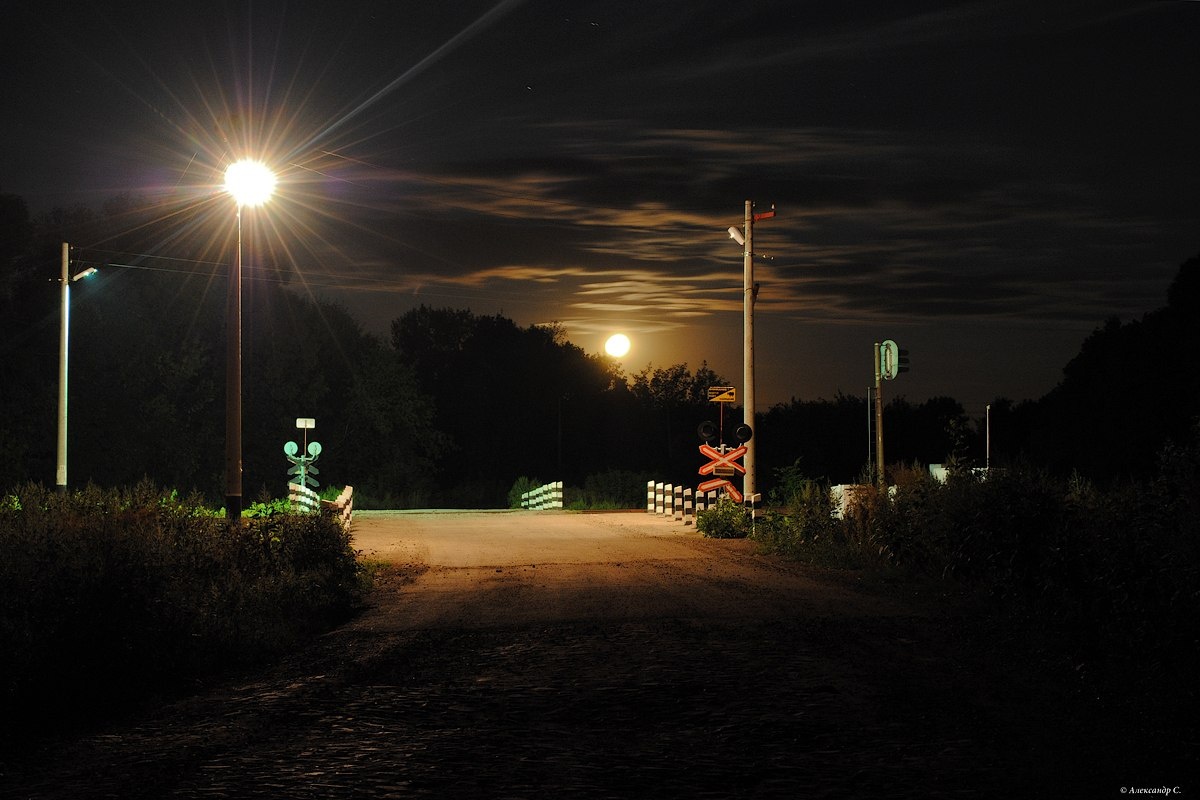 они сидели и пили чай в сторожке