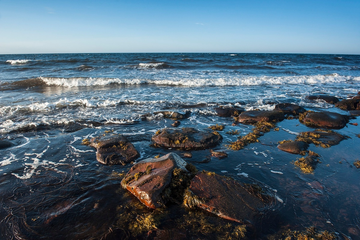 Фото Виталий Зайцев
