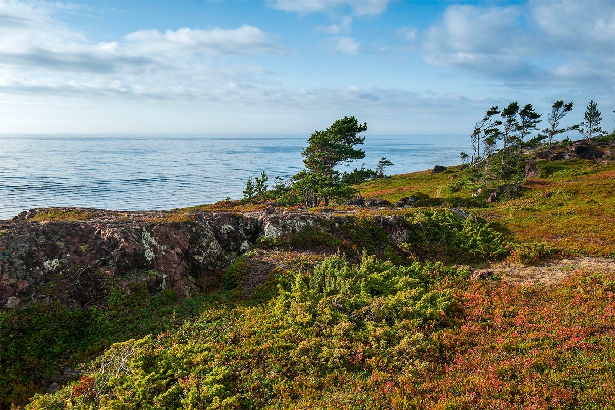 Фото Виталий Зайцев