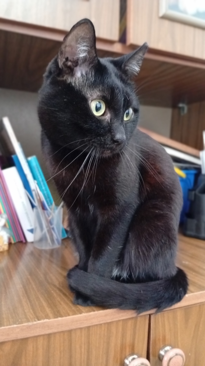 Фото из личного архива