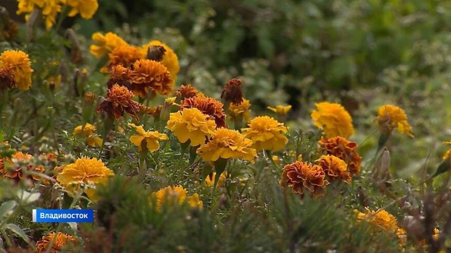    Источник фото: