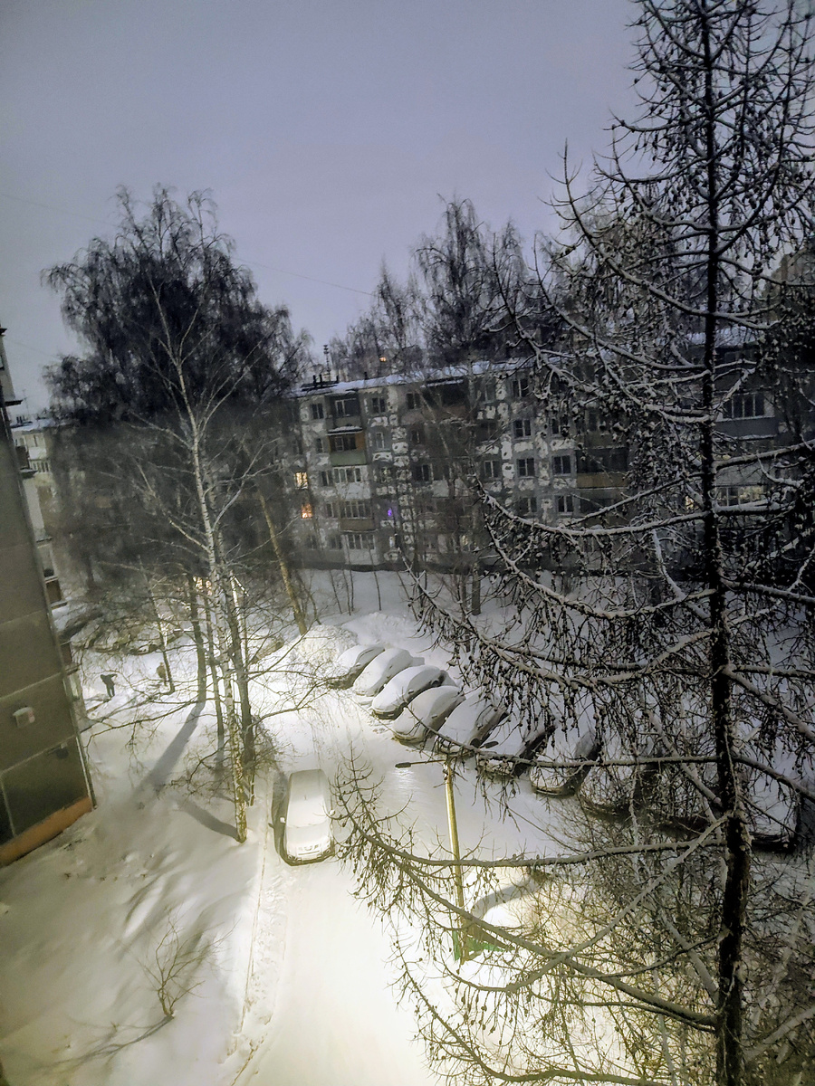 Идёт снег. Его видно в свете фонаря. Но...время только 6.20 утра,  а небо совсем светлое... Завтра весна) Об этом мне и орхидея шепчет - см. в галерее дальше. Фото автора