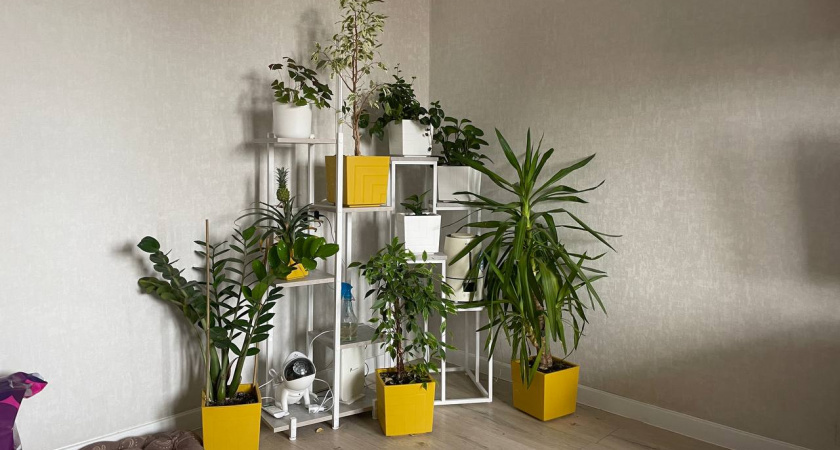    Автор фото - Анна Ефимова