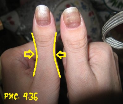 Талия большого пальца тактичного человека - обведена жёлтым цветом. hirologos.com