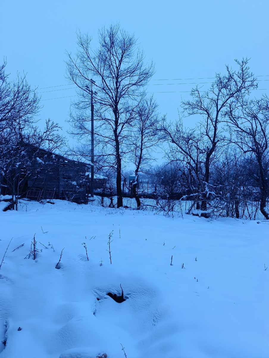 Рассвет.                                 Подумала, что нужно завести собаку, но пока на такой подвиг не готова. С моими разъездами, это безответственно. Сегодня по плану  штукатурка стен, ну не штукатурка а наброска скорее, заделка швов, отверстий в ракушечнике, чтобы там не селились всякие жучки, паучки, чтобы когда на улице ветер дует, не продувало насквозь, в некоторы местах кладки было и такое замечено.        А так как тут с прошлого года лежат шесть мешков клея для гипсокартона, то грех их не использовать, это лучше, чем везти их в мусор, и мне и природе польза. Всем хорошего, плодотворного дня! 