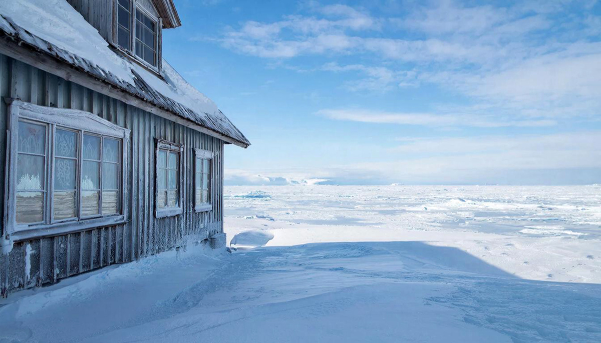 Названа стоимость экспедиции на Северный полюс в 2026 году.  Фото: Изображение сгенерировано с помощью ИИ / Светлана Возмилова