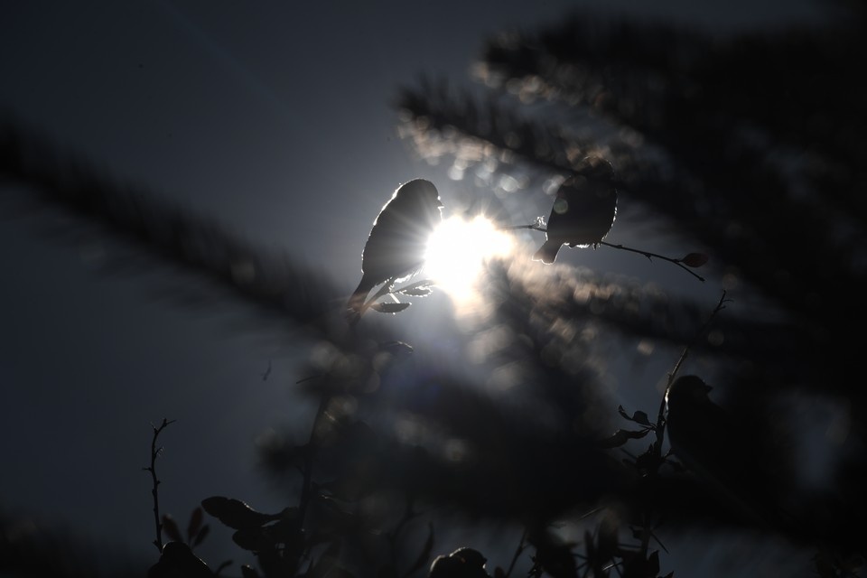    Теплая погода возвращается в российскую столицу Михаил ФРОЛОВ