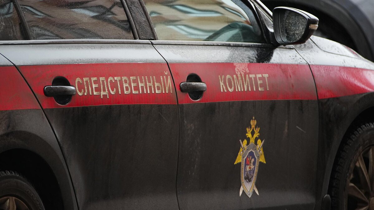    Фото: ИЗВЕСТИЯ/Сергей Лантюхов