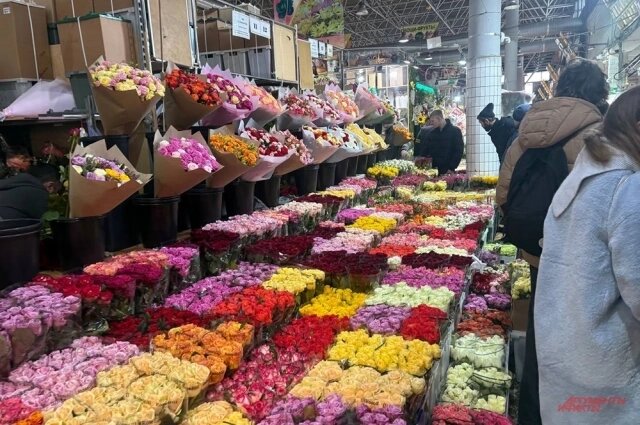    Фото: АиФ/ Егор Борзов/Олег Морозов.