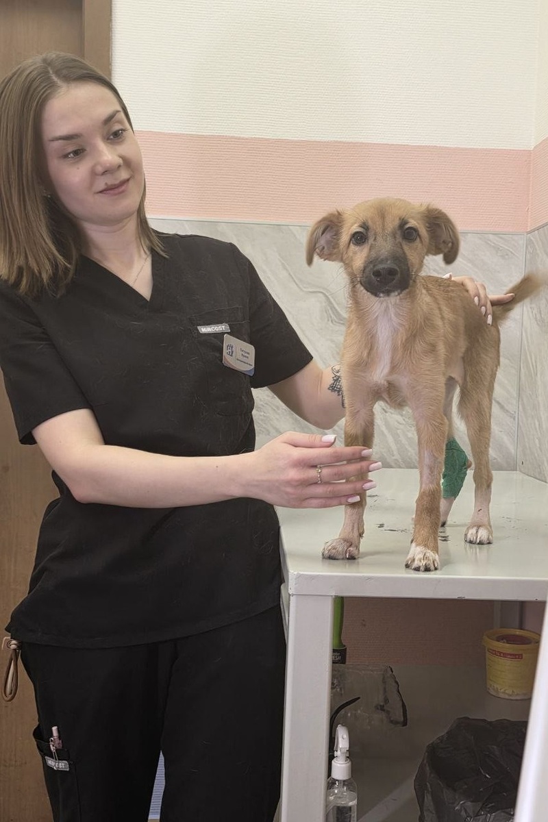 Осмотр выявил сильный отек конечностей, кровоподтеки и отмирание мягких тканей. Фото: из личного архива героя(ев) публикации