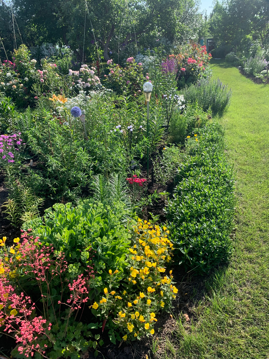 сад в начале июня