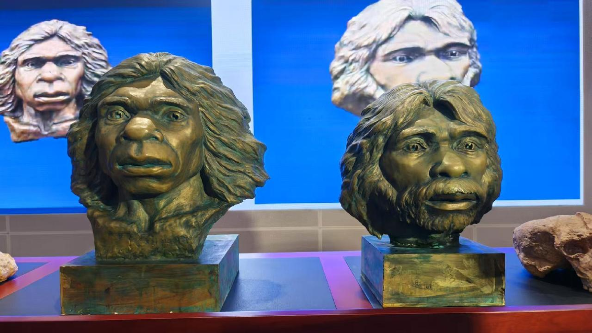 Реконструкция черепа юньсяньского человека.