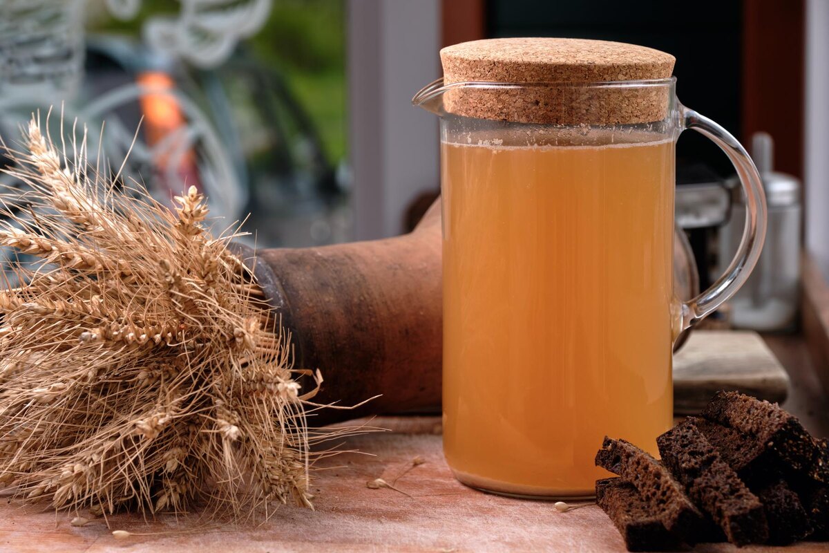    Терпкий квас из черёмухи — забытый рецепт сибирских старожилов