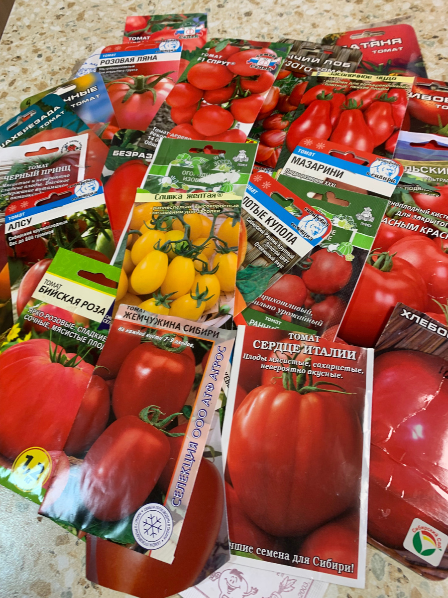 семена,все фото автора