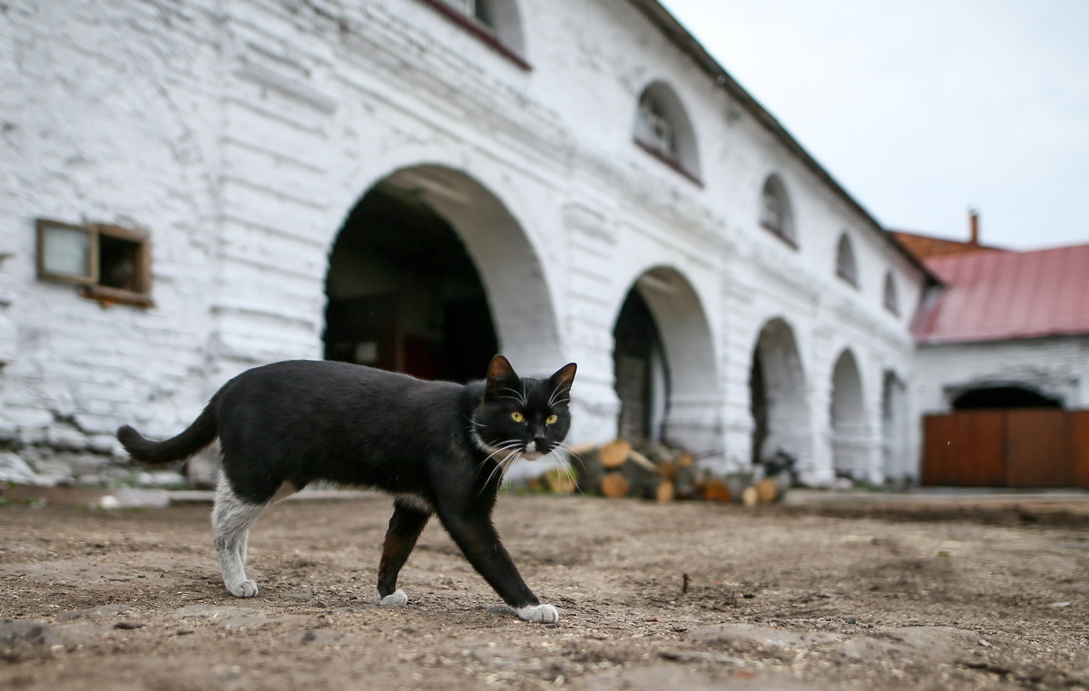 Сергей Бобылев/ТАСС