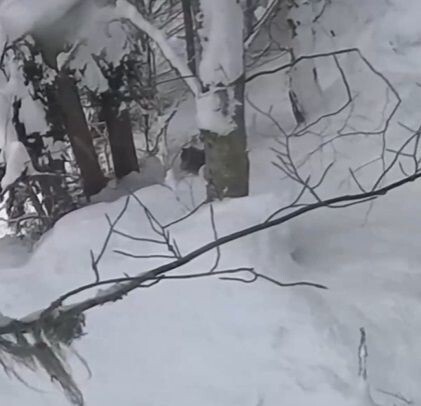    Кадр из видео