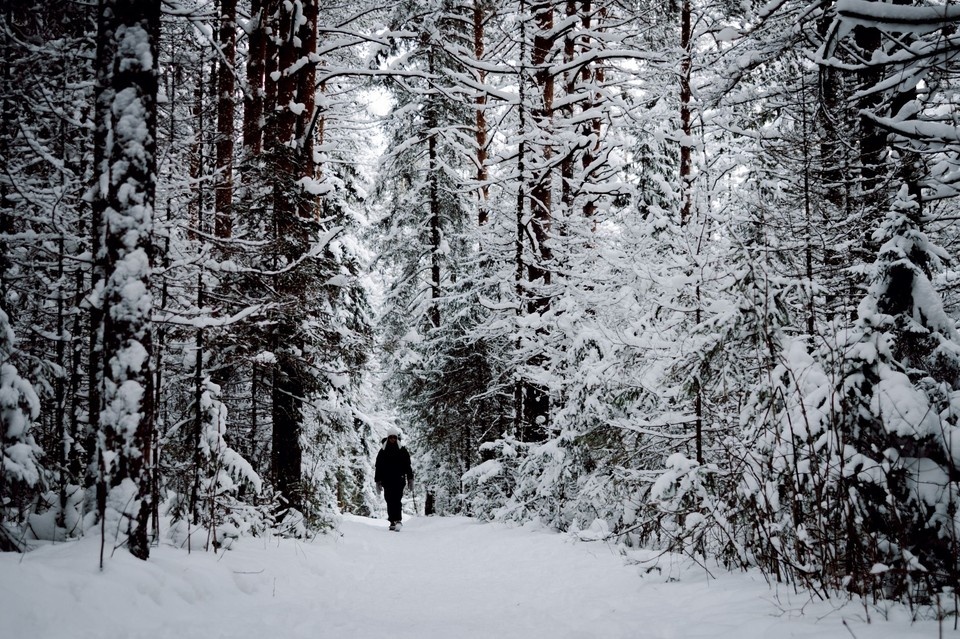   Дарья МАКСИМОВА