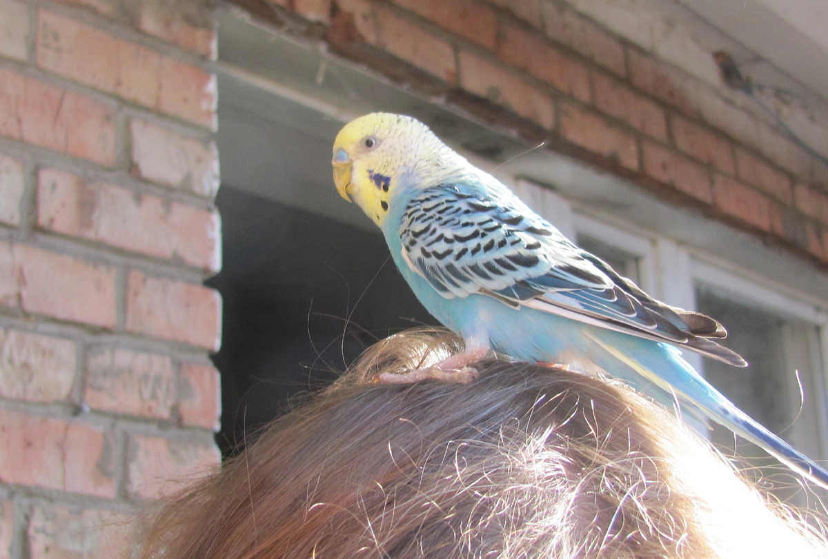 Удивительно, но нравитс обоим