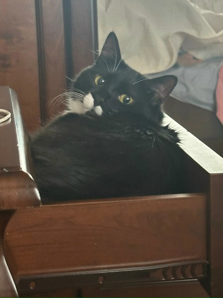 С ним точно не соскучишься!