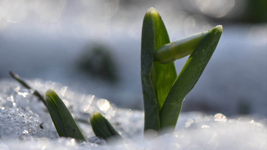    Фото: © РИА Новости/Владимир Астапкович