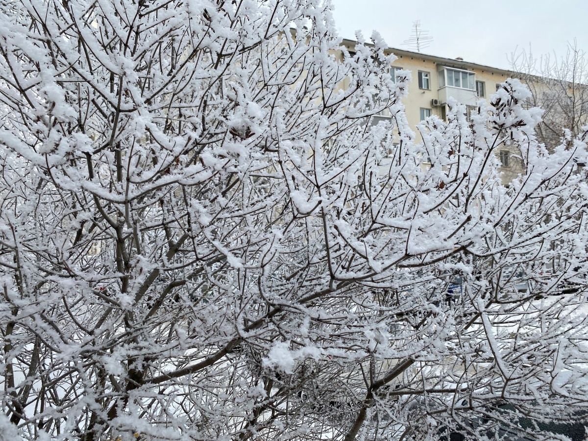    © Константин Долгановский