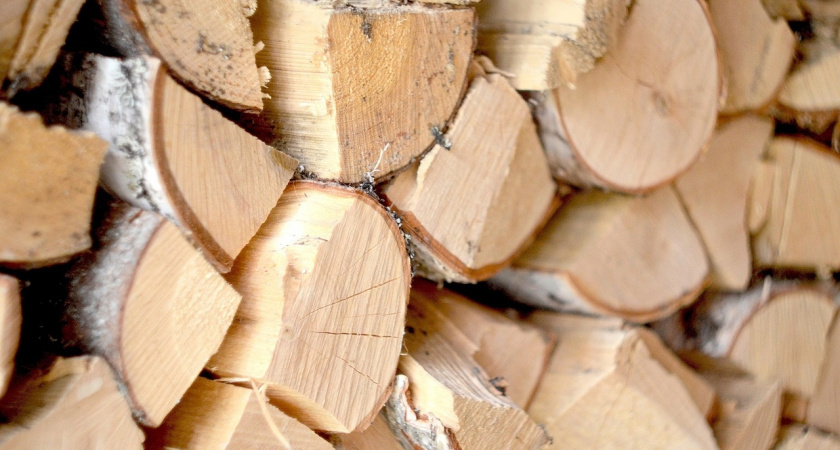    Фото: Вячеслав Вольгин