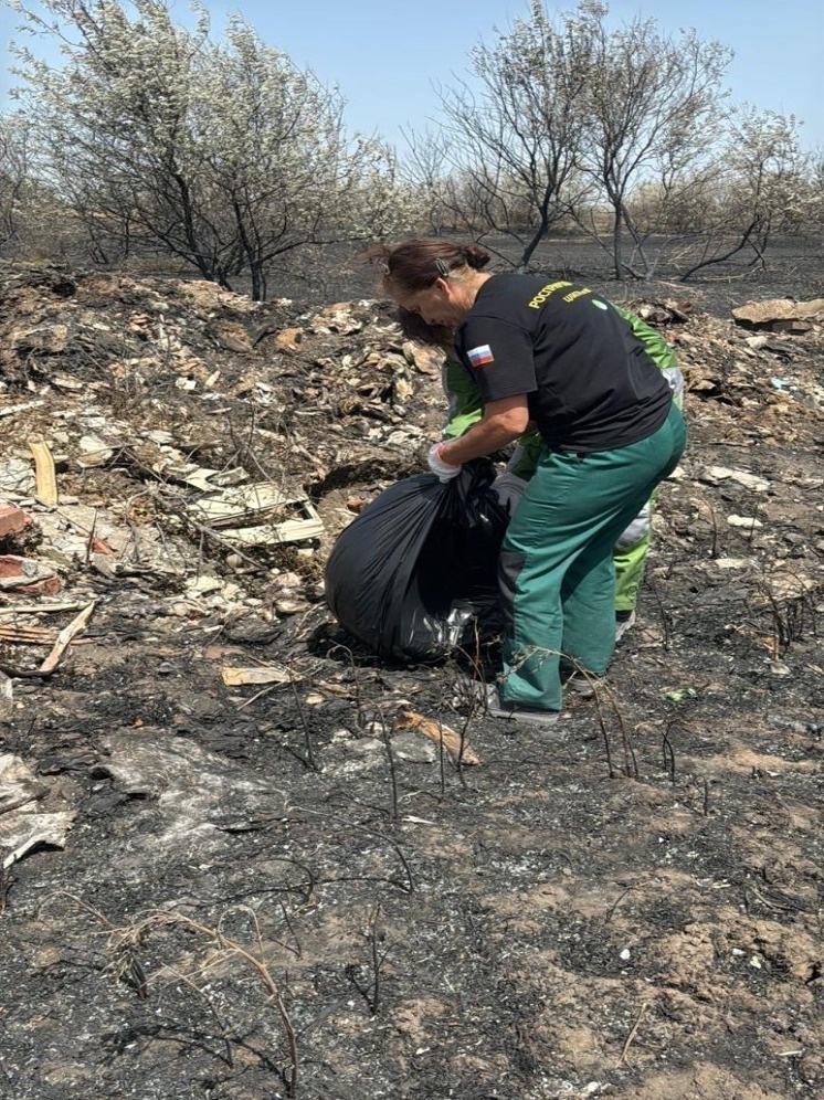   пресс-служба Росприроднадзора