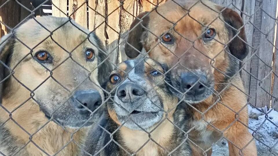 Последний день зимы. Что он нам принесет?