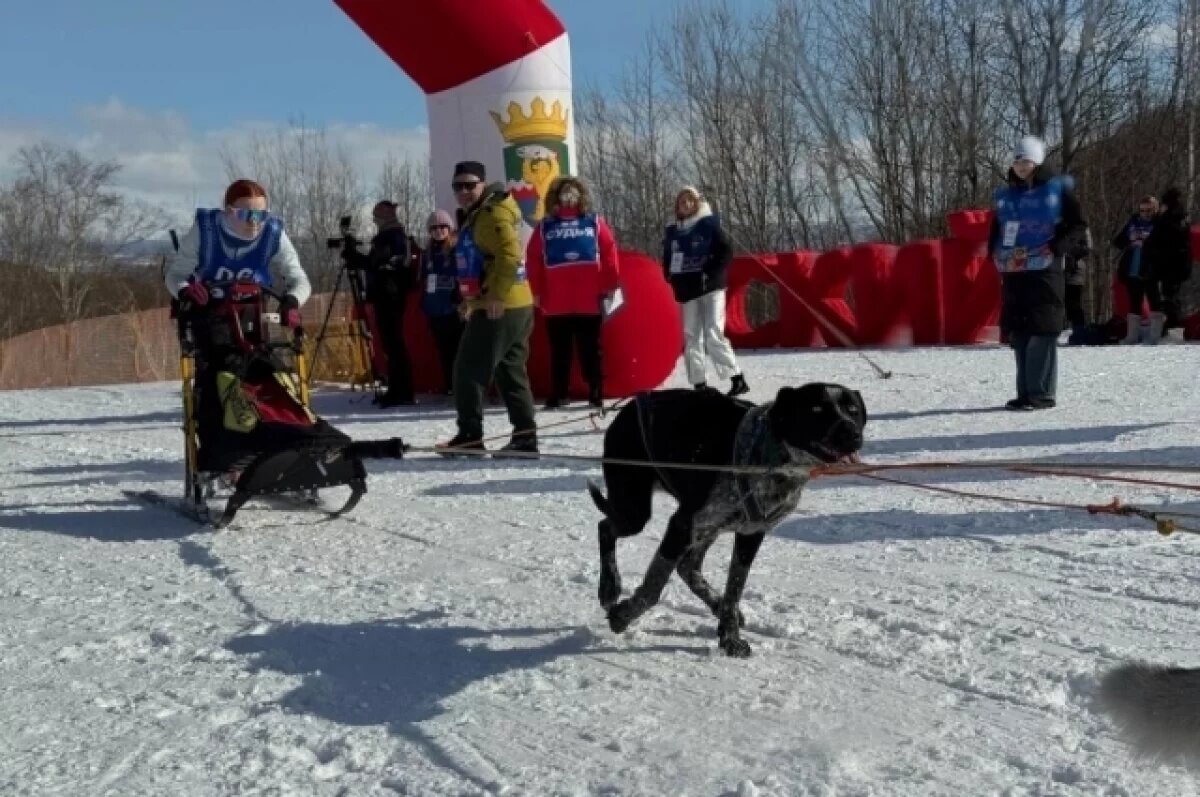    На Камчатке назвали победителей «Елизовского спринта»