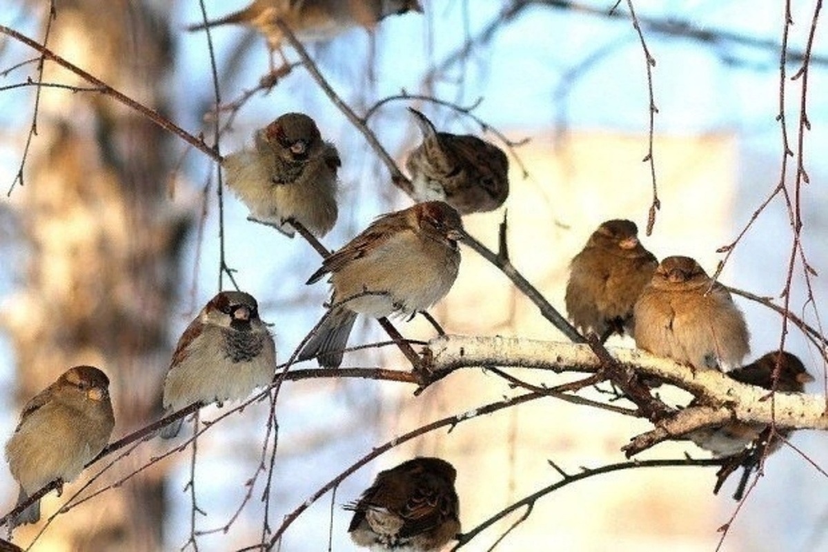 Фото из Сети