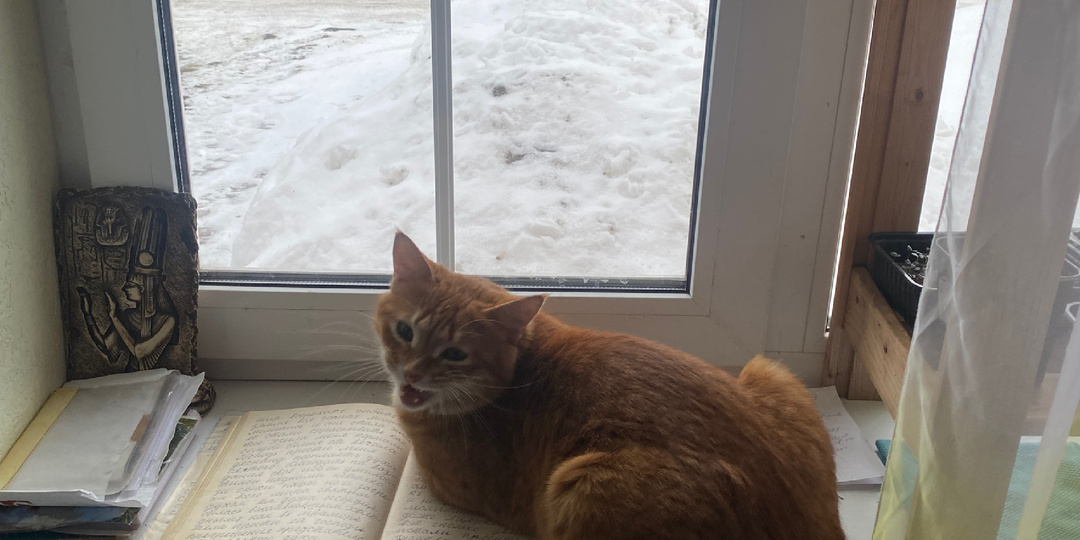 28 февраля. Обо всём рассуждаю.