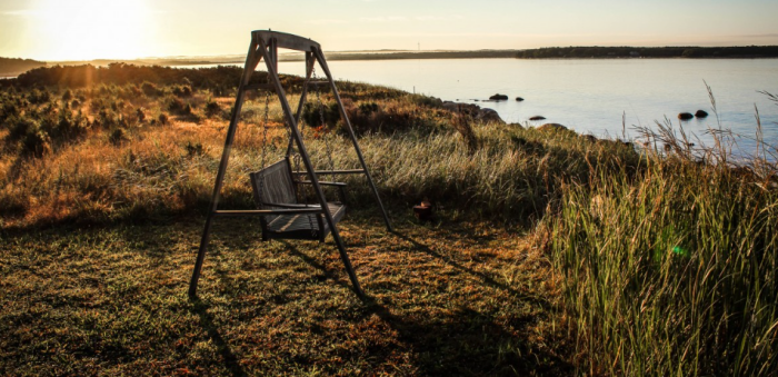 Из всего проекта Диснейленда уцелели только детские качели / фото: pxhere.com