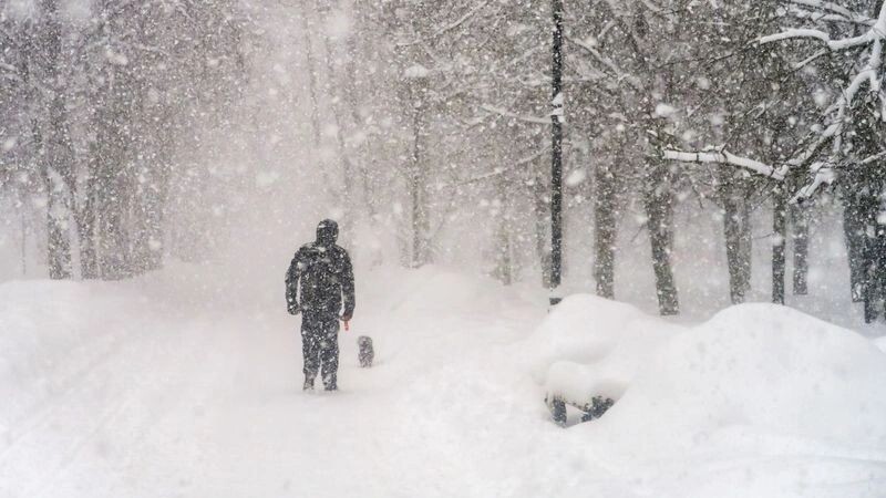    Фото: Ikebana Art-studio/Shutterstock/Fotodom