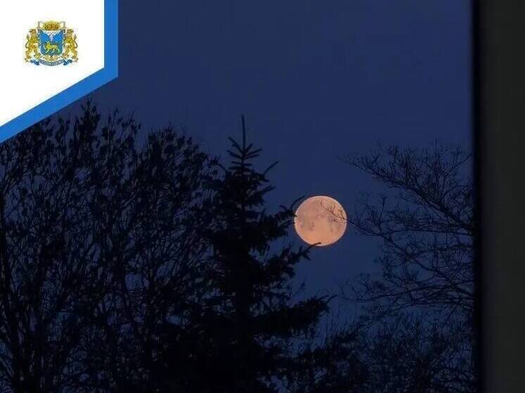     Фото: телеграм-канал Бориса Елкина