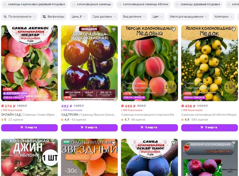 Скриншот с маркетплейса. Вот что выдаёт интернет-магазин, если забить в поиске саженцы колоновидных деревьев
