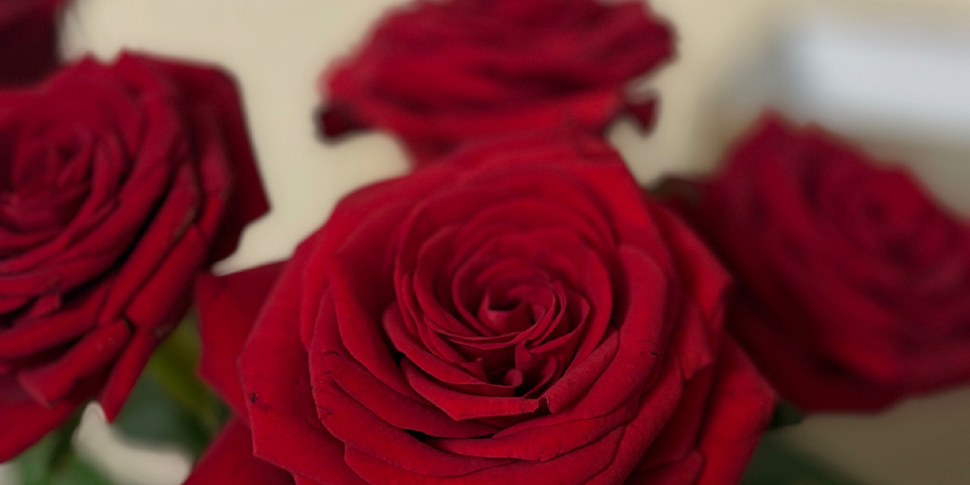 Ужасное мероприятие.